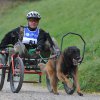 Rennen Weinfelden